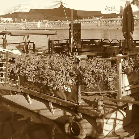 Barka Basia Botel *